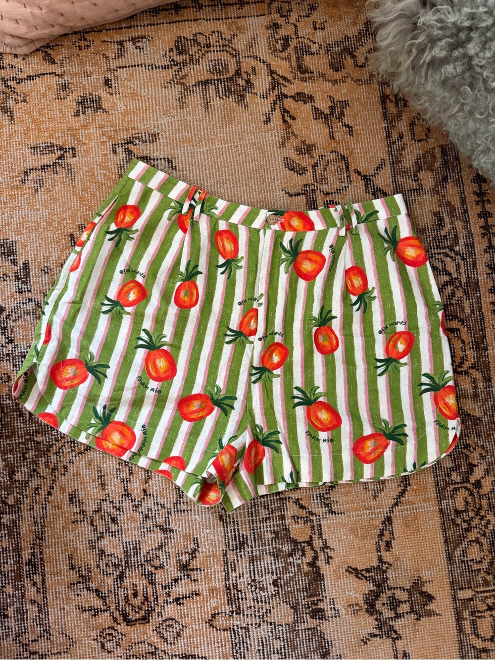Farm Rio Anthropologie Striped Tomato Print Women’s Shorts - Green & White Large